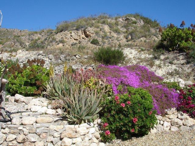 Almond Reef Casa Rural Los Alias Chambre photo